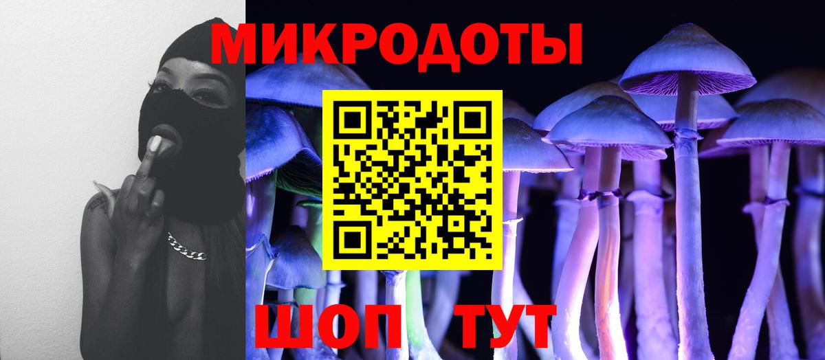 цены   Вход с VPN  Чернушка  Псилоцибиновые грибы Cubensis 